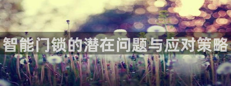 金年会APP下载：智能门锁的潜在问题与应对策略