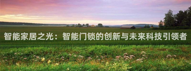 金年会平台登陆：智能家居之光：智能门锁的创新与未来科技引领者
