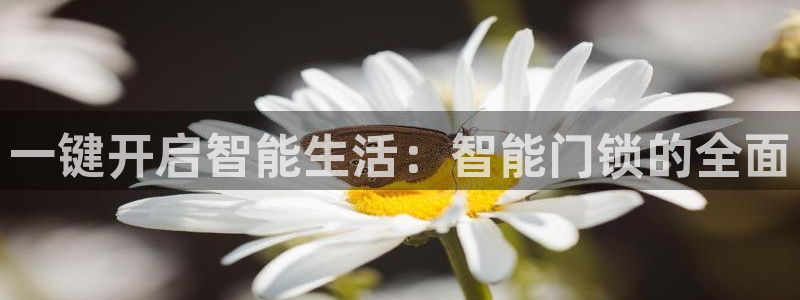 金金年会：一键开启智能生活：智能门锁的全面