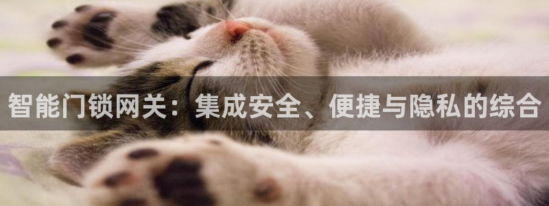 金年会不给提现：智能门锁网关：集成安全、便捷与隐私的综合