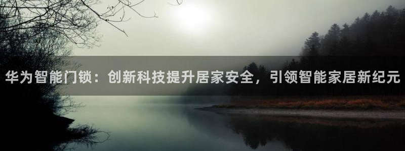 金年会综合APP：华为智能门锁：创新科技提升居家安全，引领智