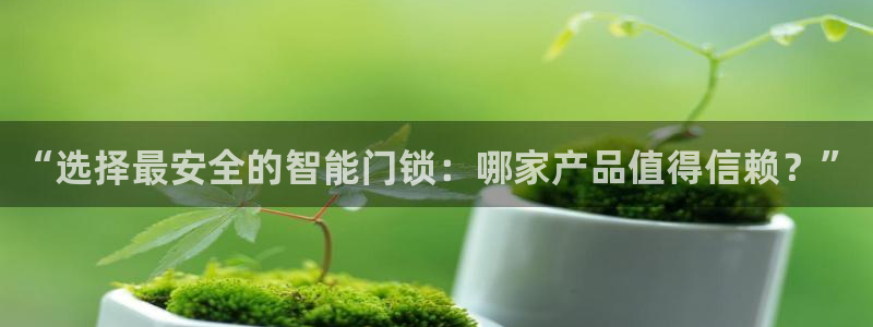 金年会体育娱乐：“选择最安全的智能门锁：哪家产品值得信赖？”