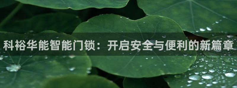 金年会体育平台：科裕华能智能门锁：开启安全与便利的新篇章