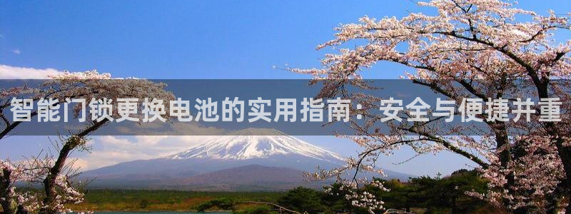 金诚集团年会：智能门锁更换电池的实用指南：安全与便捷并重