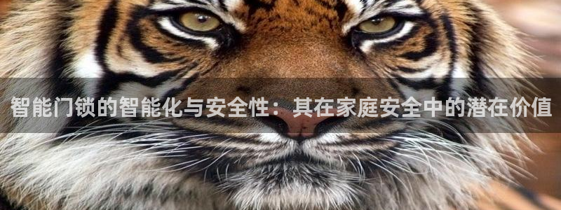 金年会ios下载：智能门锁的智能化与安全性：其在家庭安全中的