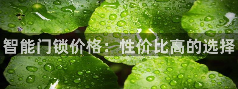 金年会赞助西甲：智能门锁价格：性价比高的选择