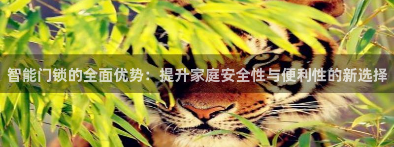 金哥年会：智能门锁的全面优势：提升家庭安全性与便利性的新选择