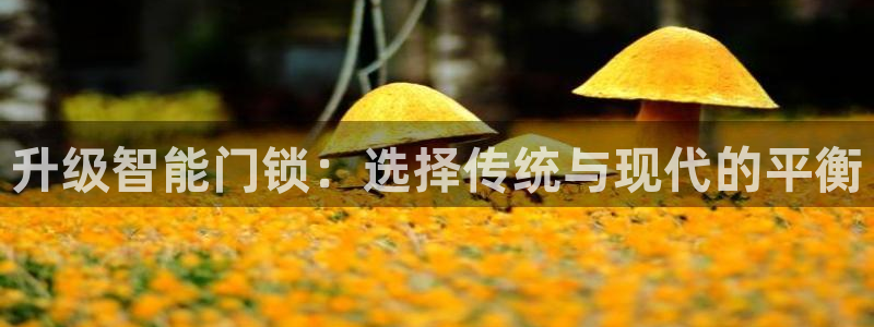 jinnianhui 金年会：升级智能门锁：选择传统与现代的