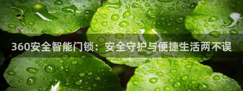 金年会吧：360安全智能门锁：安全守护与便捷生活两不误