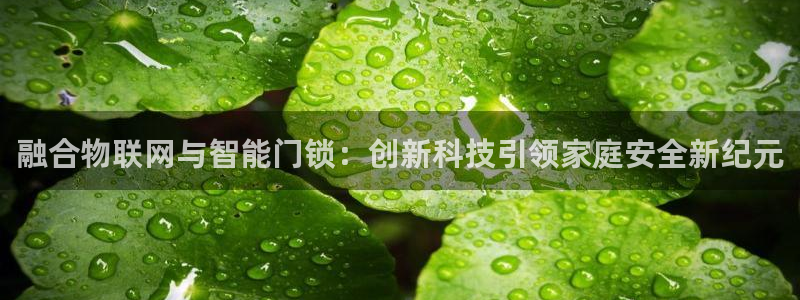 金年会登录入口：融合物联网与智能门锁：创新科技引领家庭安全新