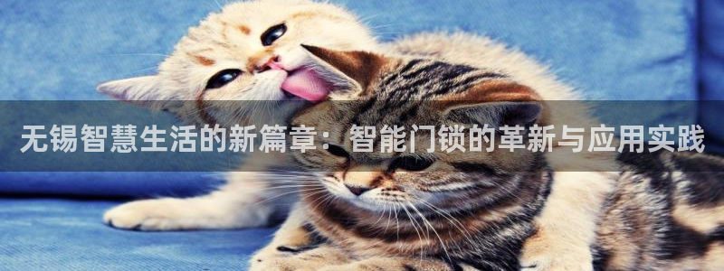 金年会开户：无锡智慧生活的新篇章：智能门锁的革新与应用实践