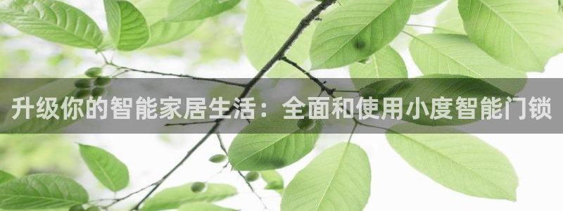 金年会赌博：升级你的智能家居生活：全面和使用小度智能门锁