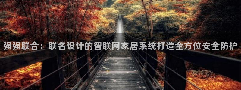 金年会18 28：强强联合：联名设计的智联网家居系统打造全方