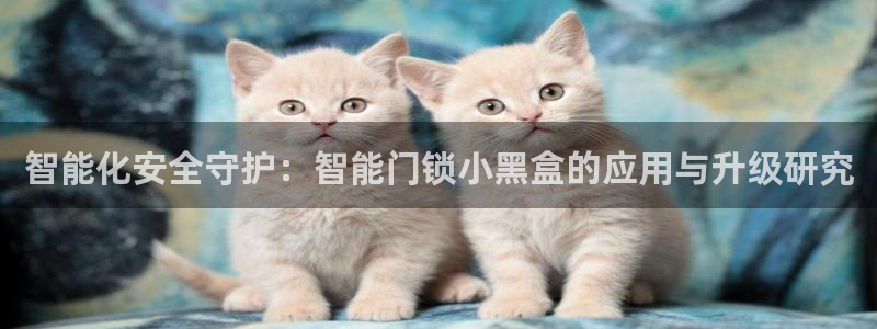 金年会品牌：智能化安全守护：智能门锁小黑盒的应用与升级研究