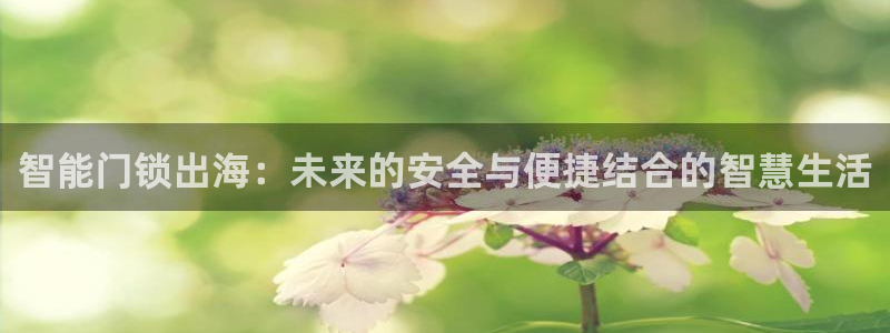 今年会送彩金28：智能门锁出海：未来的安全与便捷结合的智慧生