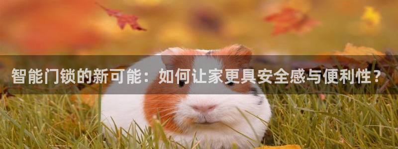 金年会体育官方：智能门锁的新可能：如何让家更具安全感与便利性