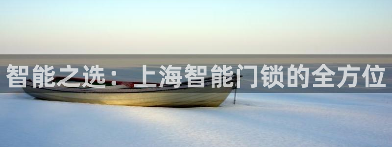 金年会ios下载：智能之选：上海智能门锁的全方位