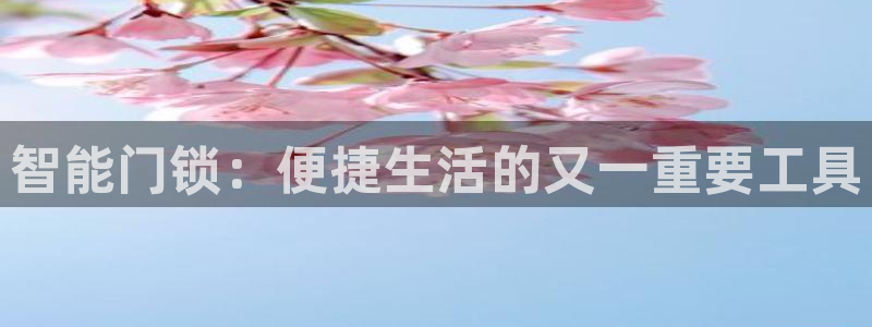 体育金年会：智能门锁：便捷生活的又一重要工具