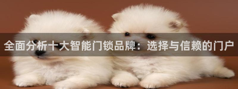 金年会官方网址登录路线：全面分析十大智能门锁品牌：选择与信赖