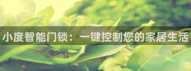 金年会代理：小度智能门锁：一键控制您的家居生活