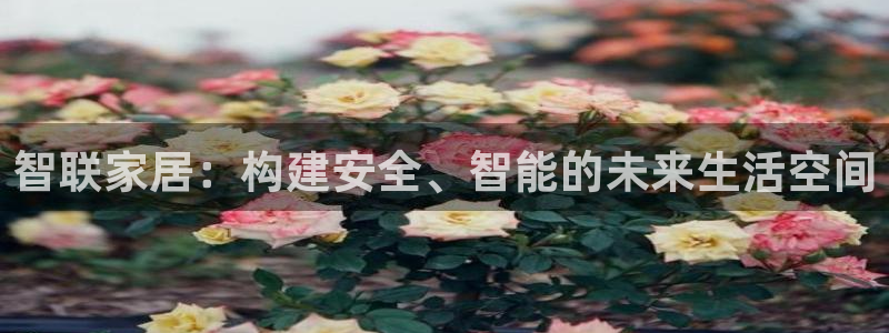金齿科年会：智联家居：构建安全、智能的未来生活空间