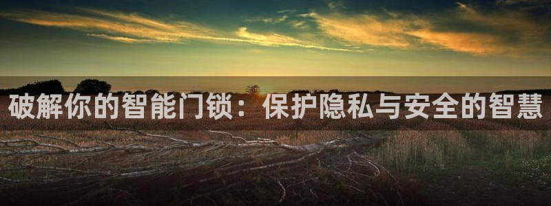 金年会全站：破解你的智能门锁：保护隐私与安全的智慧