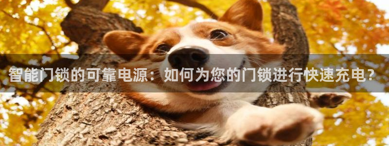 金年会ios下载：智能门锁的可靠电源：如何为您的门锁进行快速