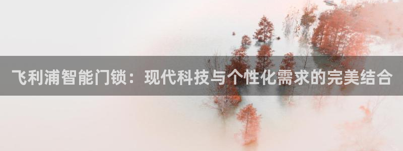 金年会体育官方：飞利浦智能门锁：现代科技与个性化需求的完美结
