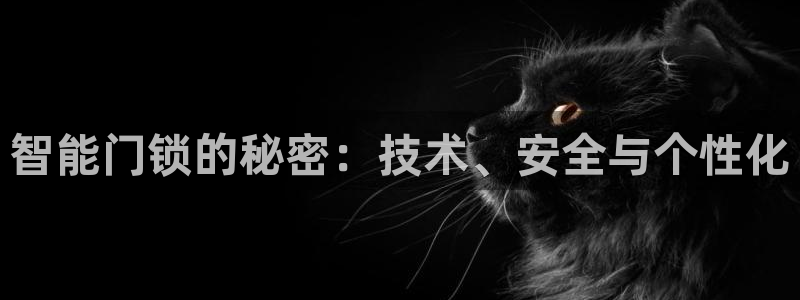 金年会手机app：智能门锁的秘密：技术、安全与个性化