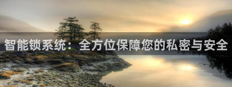 金年会最新下载：智能锁系统：全方位保障您的私密与安全