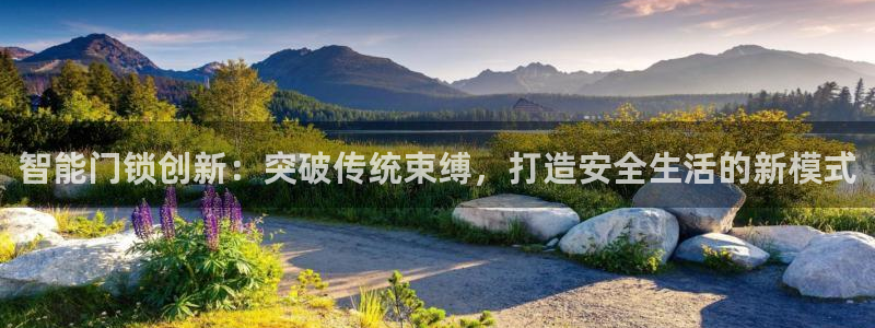 金年会游戏：智能门锁创新：突破传统束缚，打造安全生活的新模式