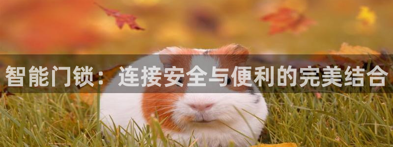 金年会入口网站：智能门锁：连接安全与便利的完美结合