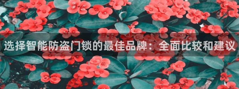 金年会app桌面：选择智能防盗门锁的最佳品牌：全面比较和建议