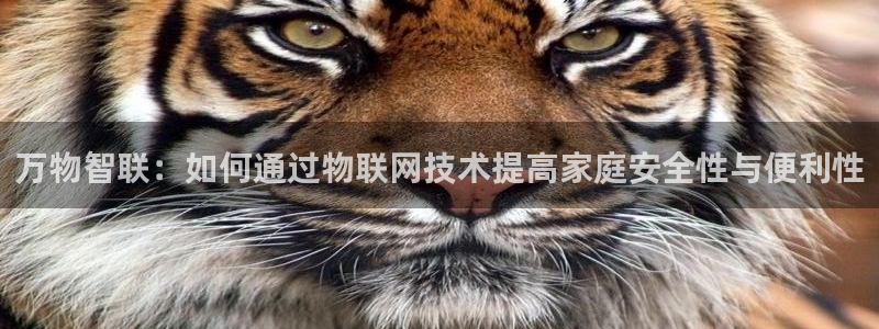 金年会拼音：万物智联：如何通过物联网技术提高家庭安全性与便利