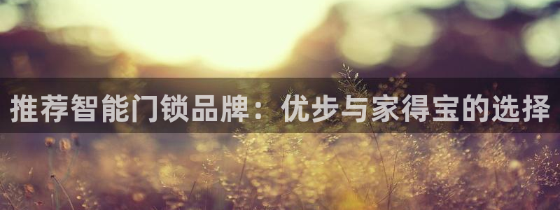 金年会101：推荐智能门锁品牌：优步与家得宝的选择