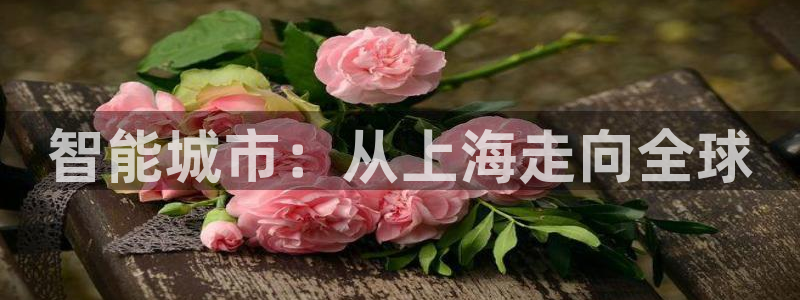 jinnian金年会：智能城市：从上海走向全球