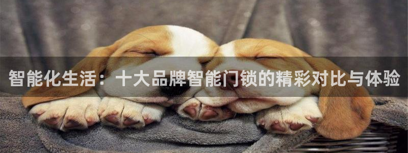 金年会网址：智能化生活：十大品牌智能门锁的精彩对比与体验
