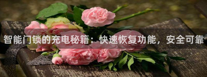 金年会平台是什么：智能门锁的充电秘籍：快速恢复功能，安全可靠