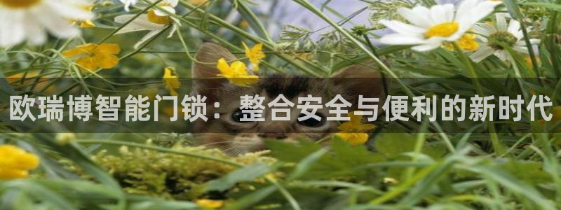 金年会app在线：欧瑞博智能门锁：整合安全与便利的新时代
