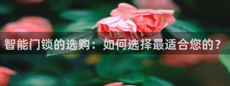 金年会平台：智能门锁的选购：如何选择最适合您的？