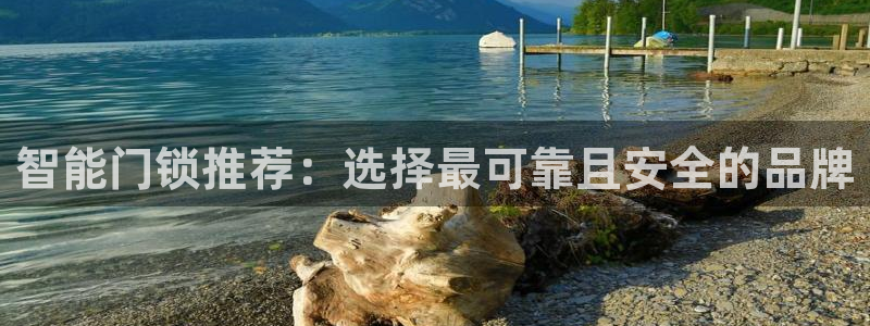 金年会介绍：智能门锁推荐：选择最可靠且安全的品牌