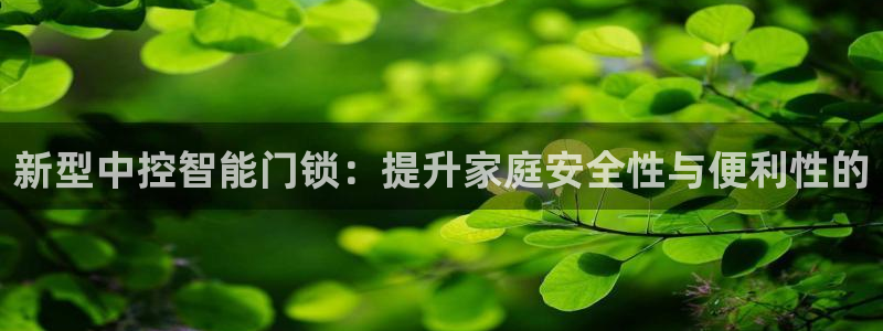 金年会金字招牌：新型中控智能门锁：提升家庭安全性与便利性的