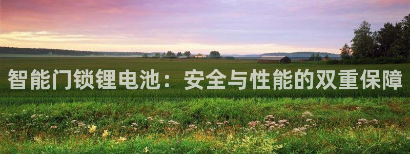 今年会送彩金28：智能门锁锂电池：安全与性能的双重保障
