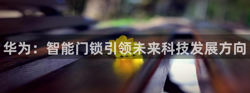 金年会 金字招牌：华为：智能门锁引领未来科技发展方向