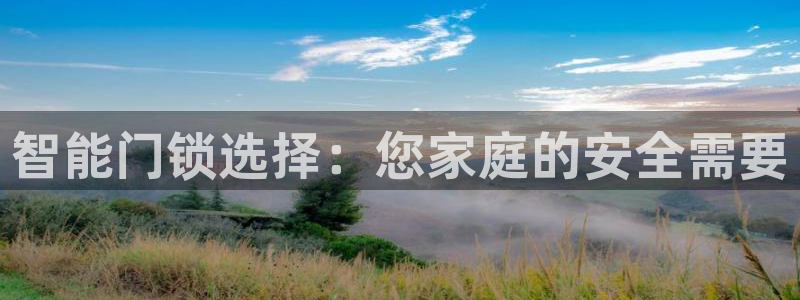 金年会电子游戏app：智能门锁选择：您家庭的安全需要
