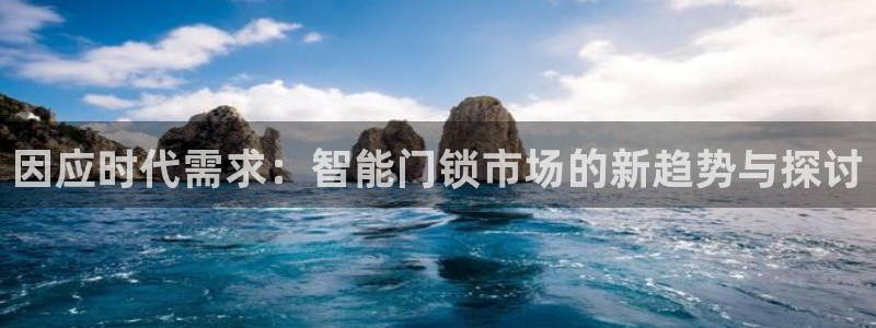金年会介绍：因应时代需求：智能门锁市场的新趋势与探讨