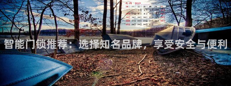 金年会官方网站入口：智能门锁推荐：选择知名品牌，享受安全与便