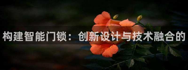 金年会登录：构建智能门锁：创新设计与技术融合的