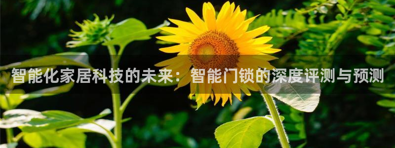 金年会电子游戏：智能化家居科技的未来：智能门锁的深度评测与预