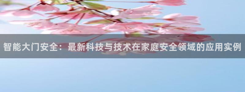 金年会金字招牌信誉：智能大门安全：最新科技与技术在家庭安全领